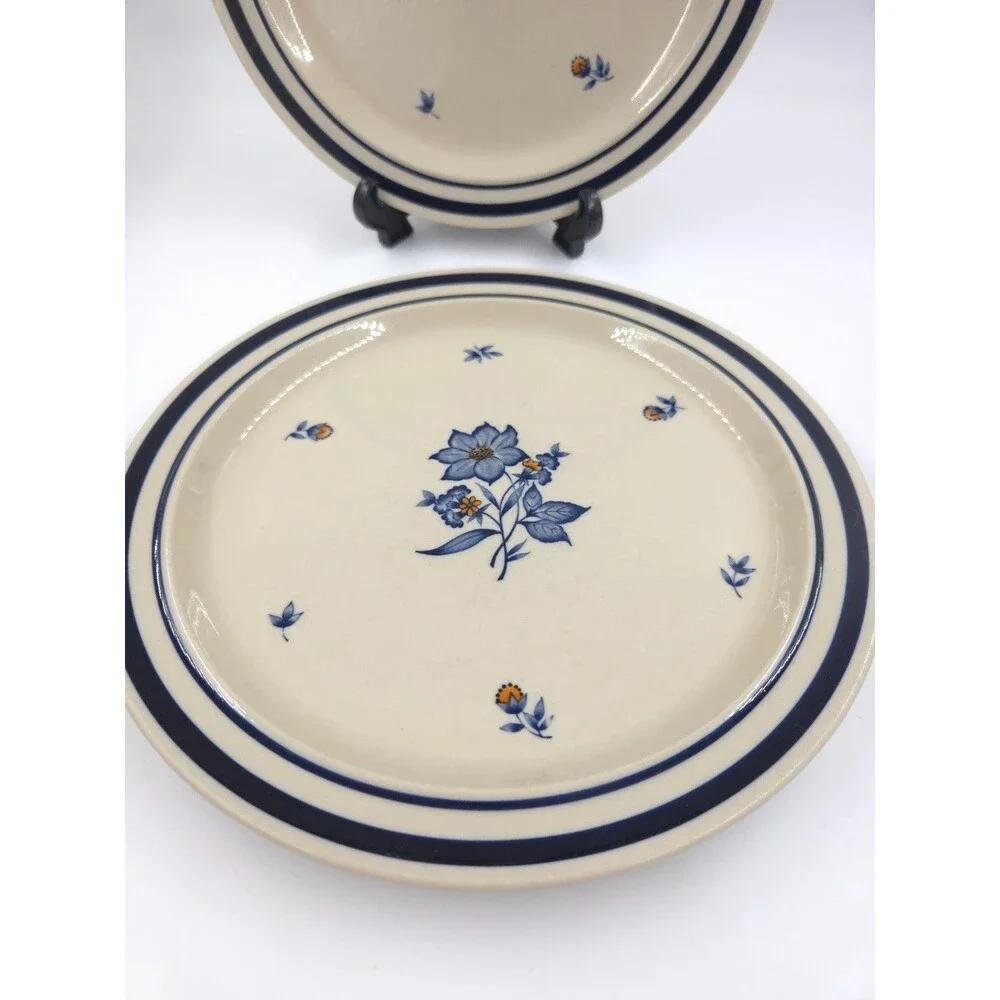 2 Newcor Stoneware Dinner Plates 10.5 